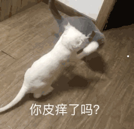天猫超市优惠券在哪买