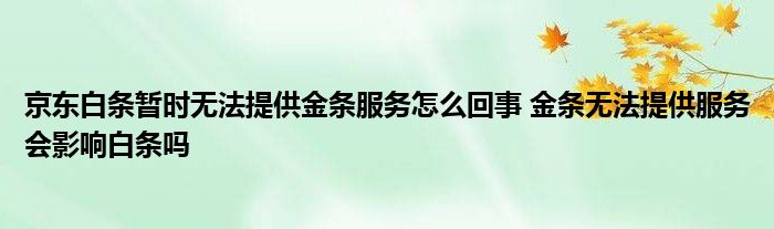 京东白条暂时无法提供金条服务怎么回事 金条无法提供服务会影响白条吗